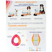 Movoflex ízületvédő rágótabletta #3