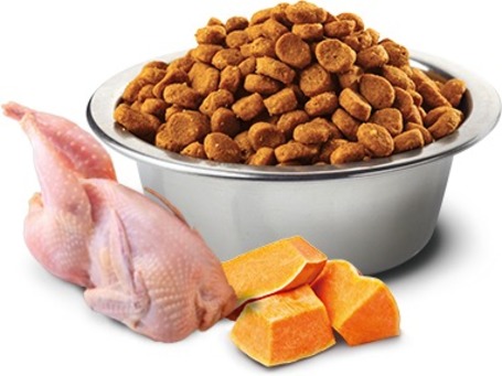 N&D Pumpkin Cat Grain Free fürjjel, sütőtökkel és gránátalmával | Szuperprémium száraztáp macskáknak