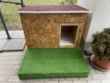 Szöszi, 5 éves ivartalanított lányka