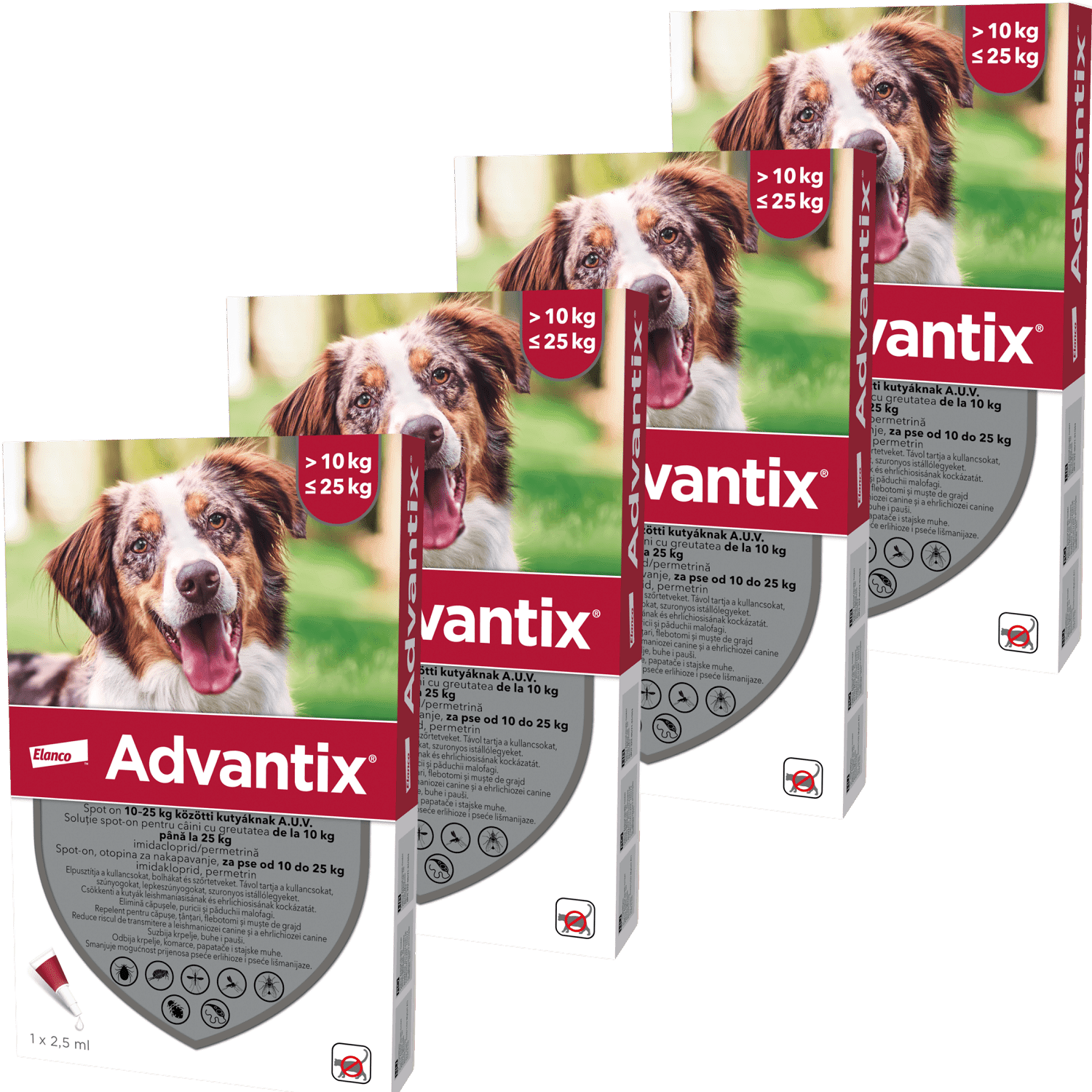 Advantix Spot On kutyáknak
