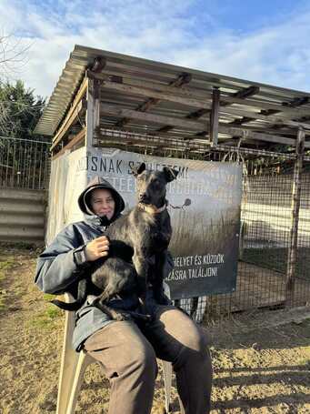 Lilien kutyus gazdit keres