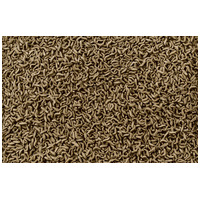 Tetra ReptoMin Sticks #4