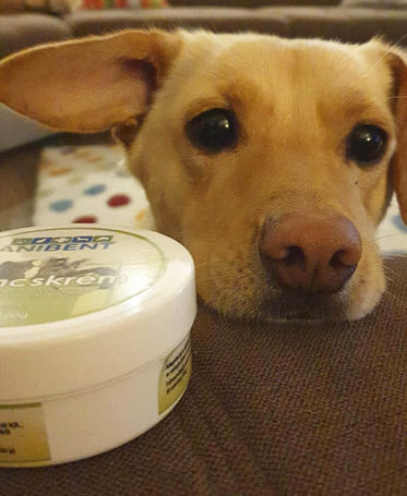 Anibent illatos mancskrém - Zöldcitromos (Lime-os)