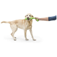 West Paw Zwig apport #11