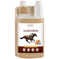 Over Horse AntiOxRide