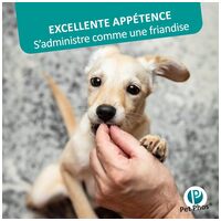 Pet-Phos CA/P 1.3 ízesített csonterősítő tabletta kutyáknak #6