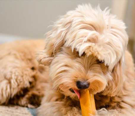 Barf Love Churpi himalájai sajt rágócsont