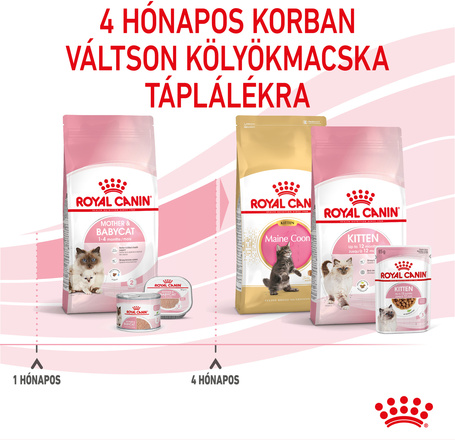 Royal Canin Mother & Babycat - Kölyök és anya macska száraz táp