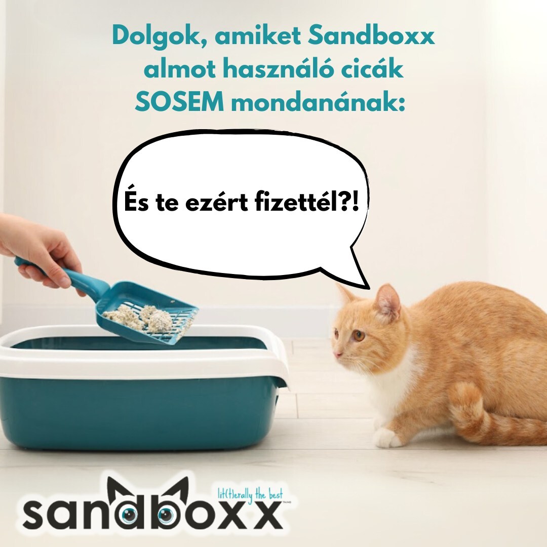 Nisip parfumat Sandboxx, formare de bulgări, pentru litiera - zoom