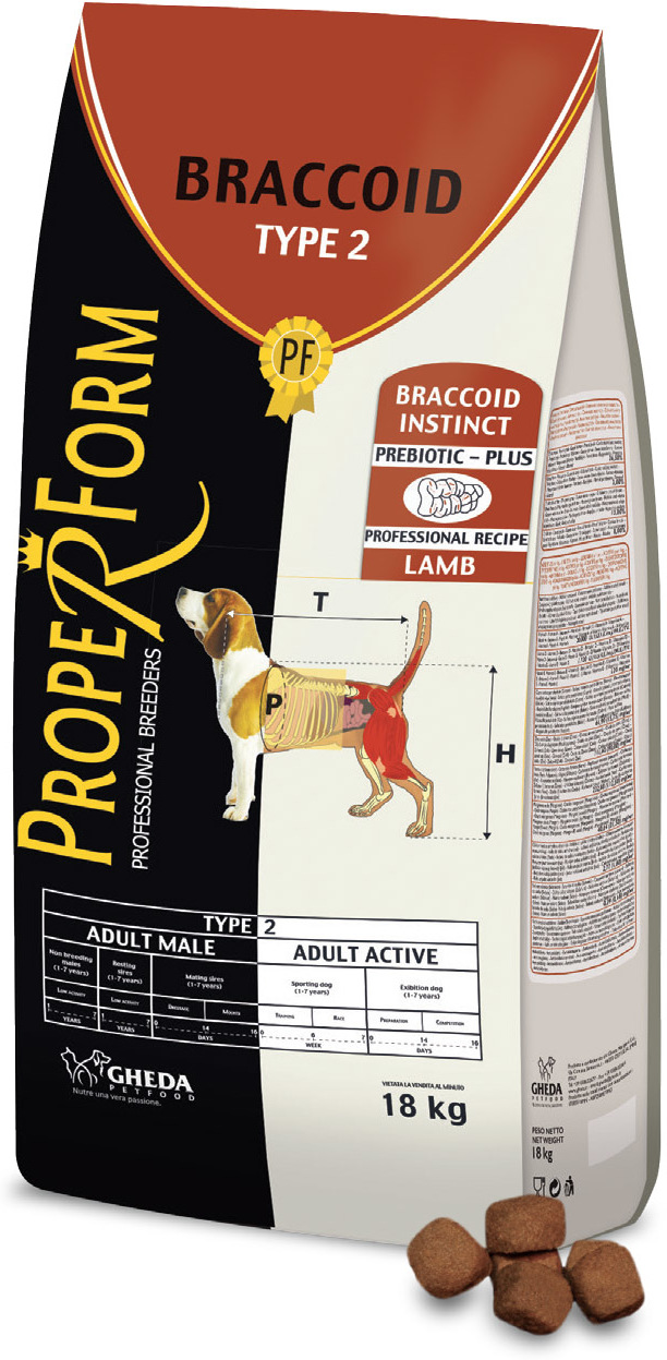 Proper Form Braccoid Type 2 Adult Male/Active Lamb