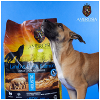 Ambrosia Dog Adult Grain Free Lamb & Fresh Salmon #13