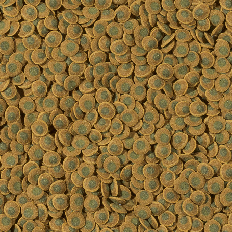 Tetra Pleco Veggie Wafers