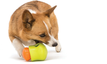 West Paw Toppl - Jutalomfalattal tölthető kutyajáték