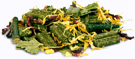 bunnyNature ChinchillaDream Basic