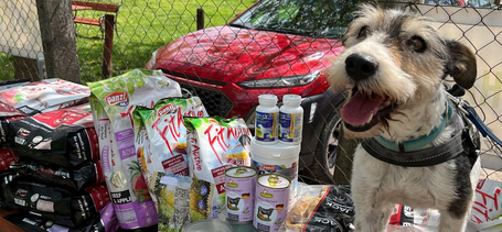 Köszönjük a támogatásotokat! ... Ismét több kutyus is új gazdira talált