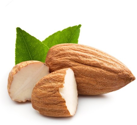 Biogance 2in1 sampon és balzsam egyben kutyáknak