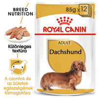 Royal Canin Dachshund Adult - Tacskó felnőtt kutya nedves táp