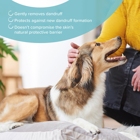 Beaphar korpásodás elleni sampon kutyáknak és macskáknak