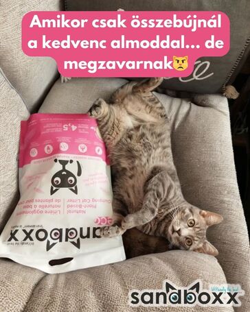 Sandboxx Eco növényi alapú, természetbarát macskaalom