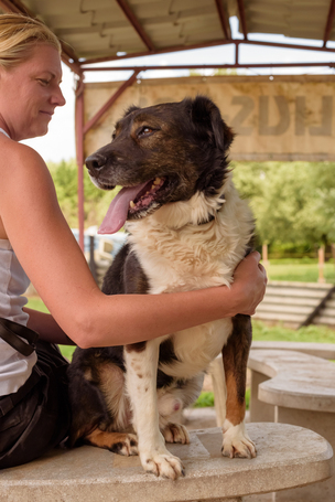 Toby, négy éves, kan