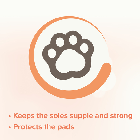 Beaphar mancsbalzsam