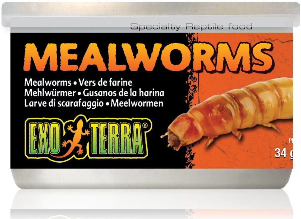 Exo Terra Mealworms – Viermi de făină fierți moi pentru reptile - zoom