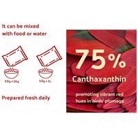 Beaphar Intensief Red #6