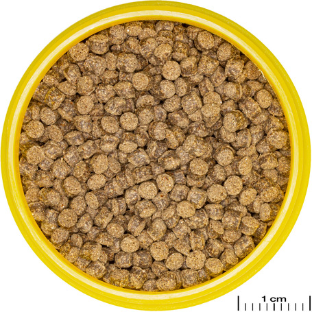 JBL ProNovo Fantail Grano