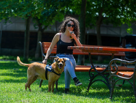 Johnny, 9 éves, 48 cm magas, kan