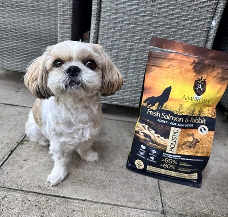 Ambrosia Dog Adult Mini GF Fresh Salmon & Rabbit | Gabonamentes táp kistestű kutyáknak friss lazaccal és nyúlhússal