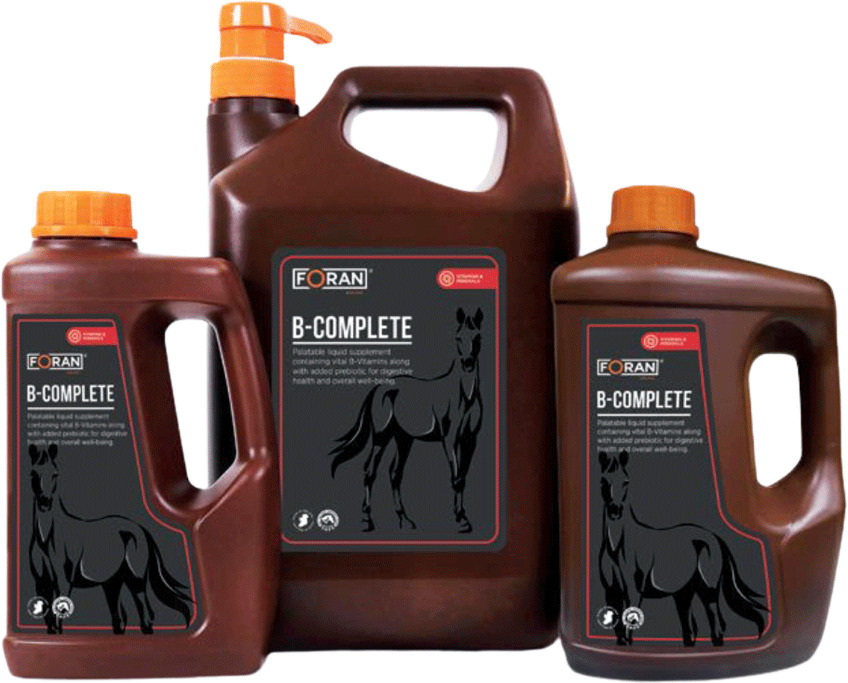 Foran B-Complete pentru cai