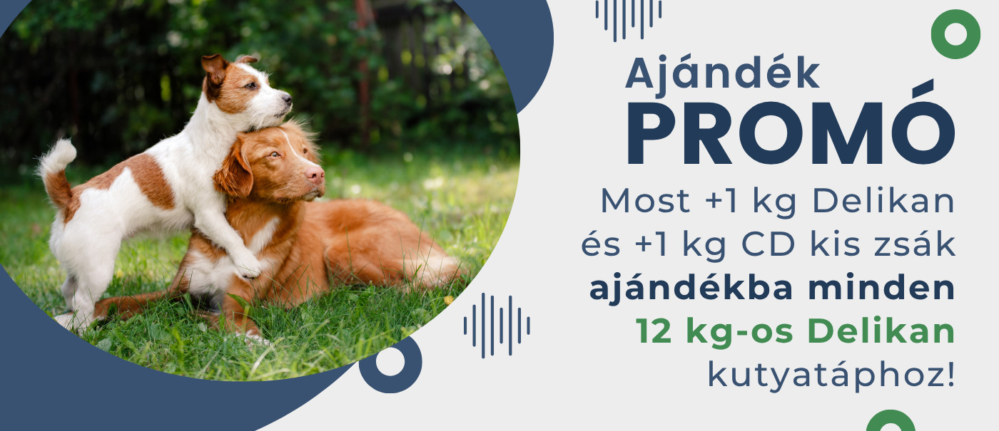 +1 kg Delikan zsák és +1 kg CD zsák ajándékba