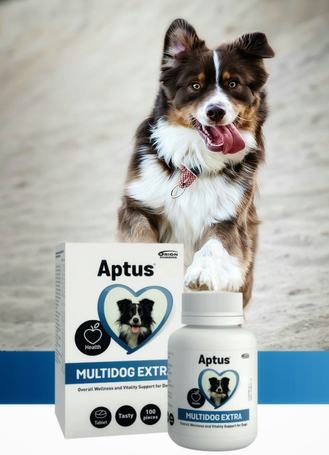 Aptus Multidog Extra tabletta