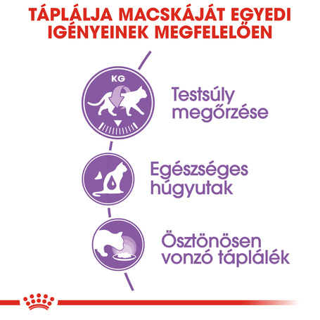 Royal Canin Sterilised Jelly - Ivartalanított felnőtt macska zselés nedves táp