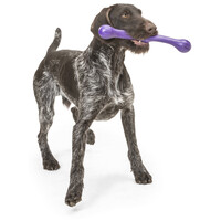 West Paw Zwig apport #8