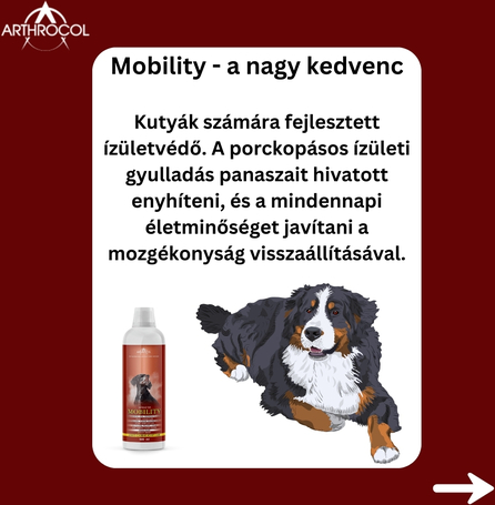 Arthrocol Mobility porcerősítő és ízületvédő szirup