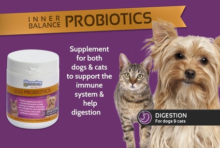 Blooming Pets Inner Balance Probiotics - Probiotikum kutyáknak és macskáknak