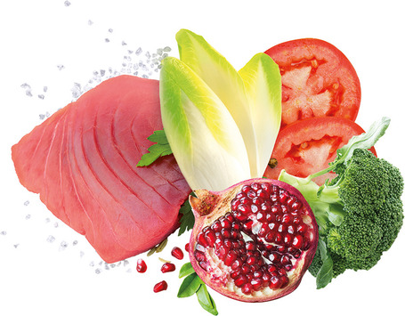 Exclusion Dog Mediterraneo Monoprotein Tuna Adult Medium