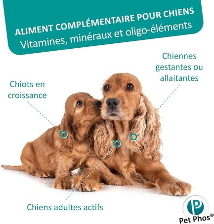 Pet-Phos CA/P 1.3 ízesített csonterősítő tabletta kutyáknak