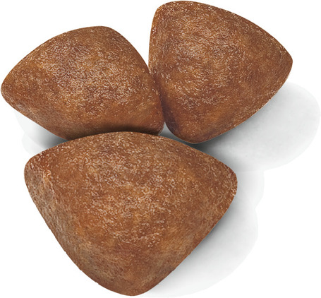 Royal Canin Mini Starter - Száraz táp kistestű vemhes szuka és kölyök kutya részére 2 hónapos korig