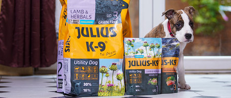 Julius-K9 GF Hypoallergenic Utility Dog Puppy & Junior Lamb & Herbals | Érzékeny emésztésű kölyökkutyáknak | Szárazeledel