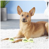 Kong Squeakair teniszlabdák #24