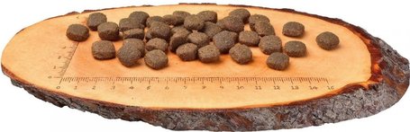 CarniLove Adult Lamb & Wild Boar | Bárány- és vaddisznóhúsos kutyatáp