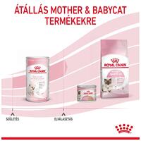 Royal Canin Babycat Milk - tejpótló tápszer kölyökmacska részére #8
