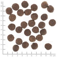 Wolfsblut VetLine Renal #6