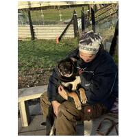 Hektor, kan kutyus gazdit keres #3