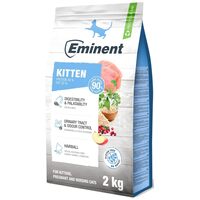 Eminent Kitten Chicken