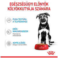Royal Canin Maxi Puppy - Nedves táp nagytestű kölyök kutya részére #2