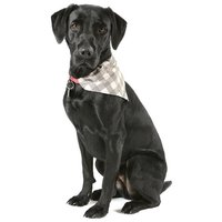 Scruffs Insect Shield Bandana - Rovarpajzs kutyakendő Scruffs Insect Shield Bandana - Rovarpajzs kutyakendő