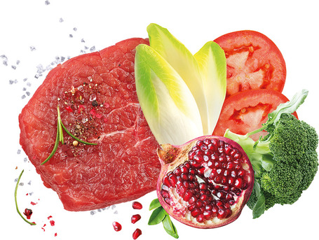 Exclusion Dog Mediterraneo Monoprotein Beef Puppy Medium